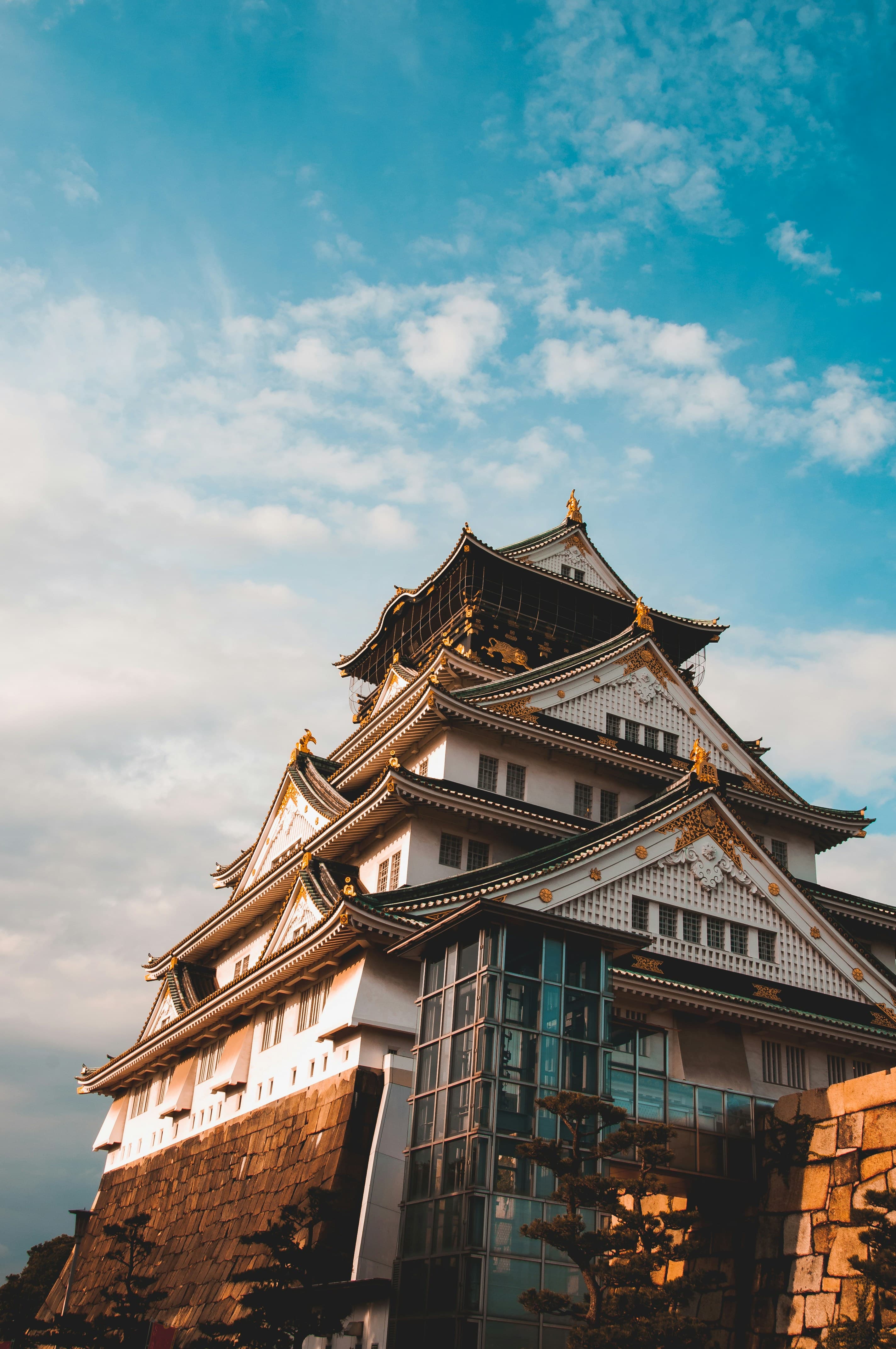 Japan City Lights & Fuji Trails